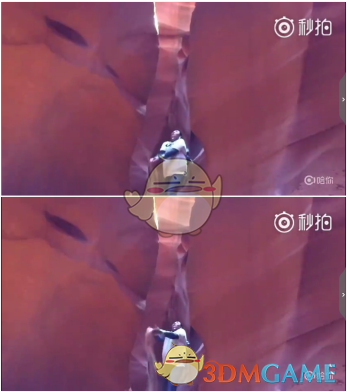 当63岁蔡明和37岁刘亦菲撞衫，才终于发现，年龄在气质面前不值一提